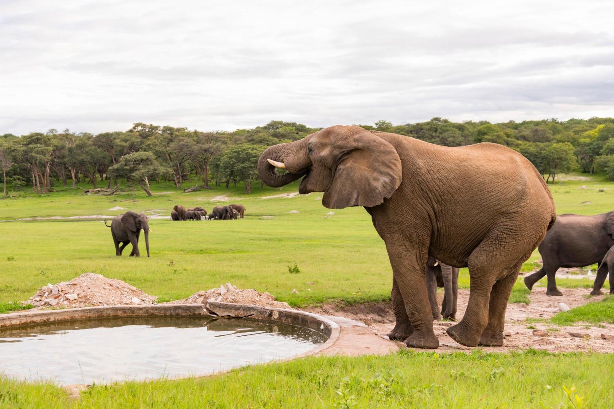 Hwange Safari Lodge Dete Bagian luar foto