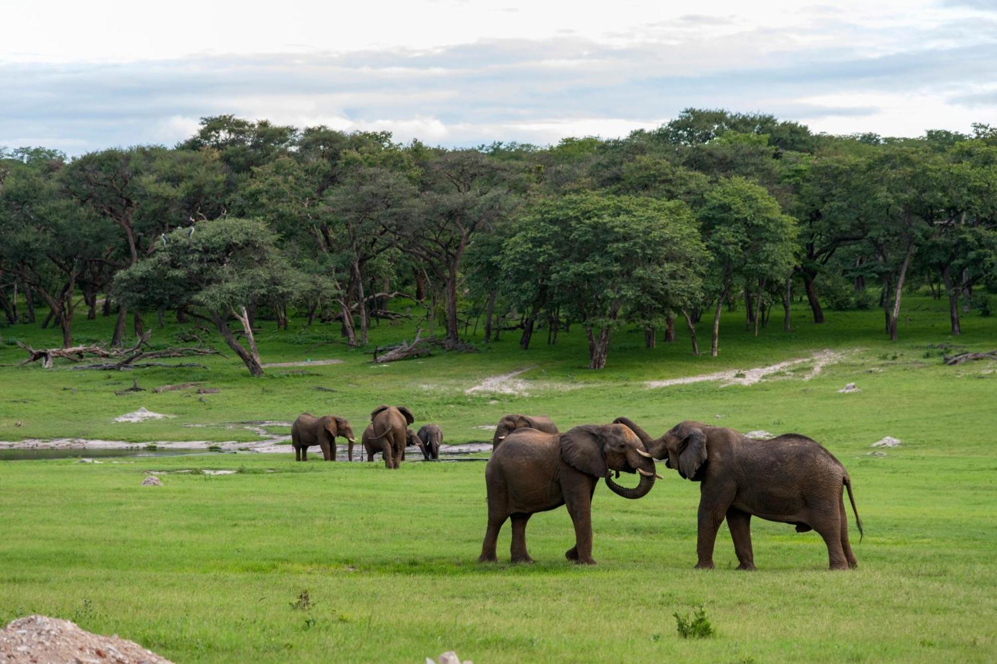 Hwange Safari Lodge Dete Bagian luar foto